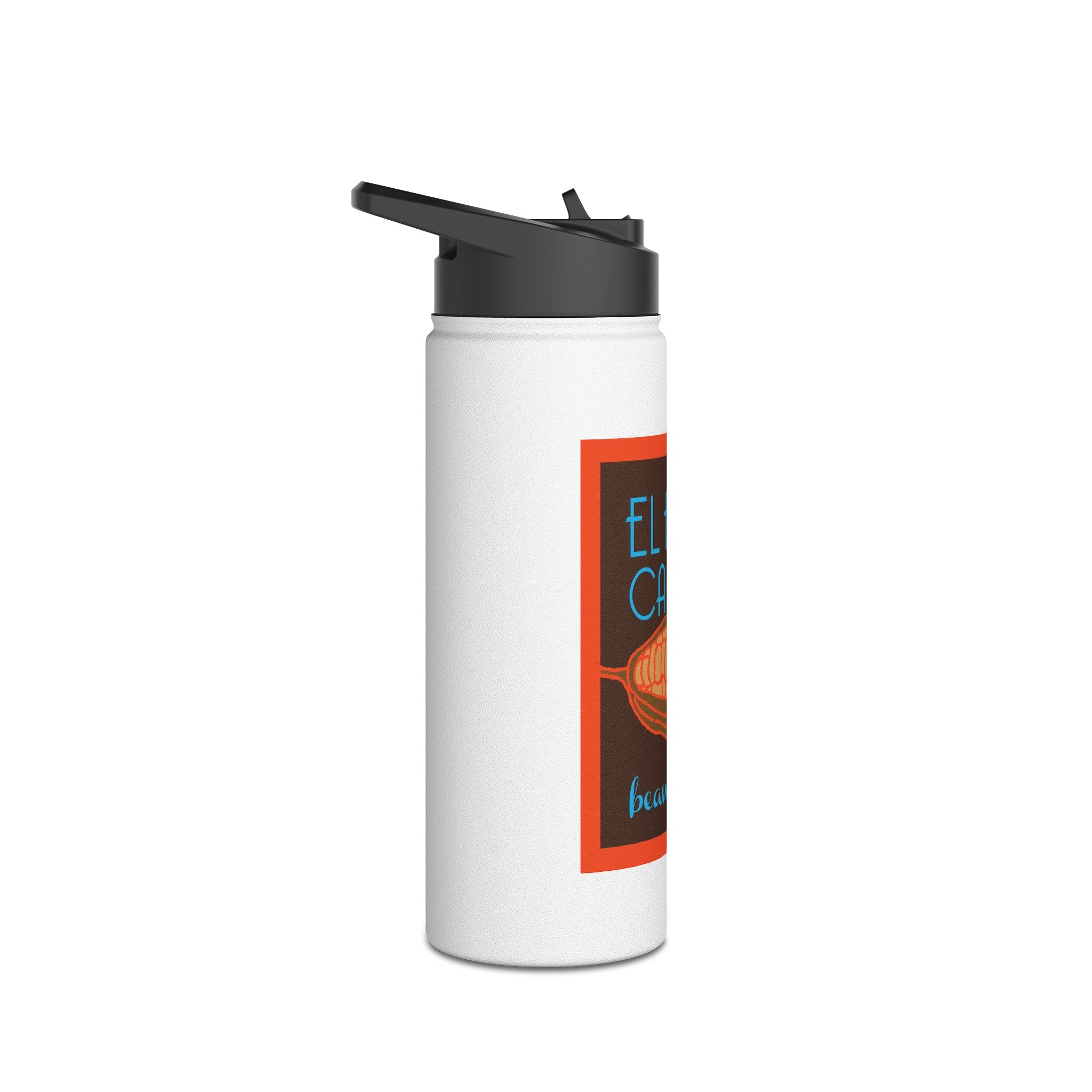 Stainless Steel Water Bottle, Standard Lid